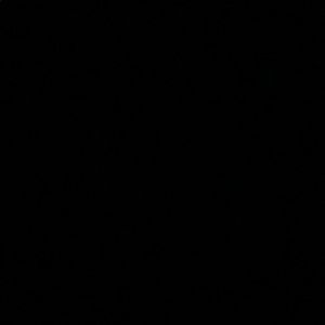 Meet your Posher, Sofia